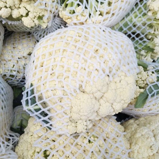 沛县白花菜花 适中 江苏省徐州市沛县 2~3斤