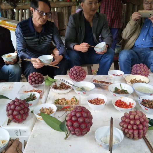 鄱阳县粉红一号 