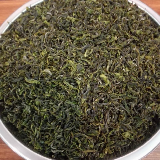 山东日照绿茶  2024年新茶  浓香型绿茶