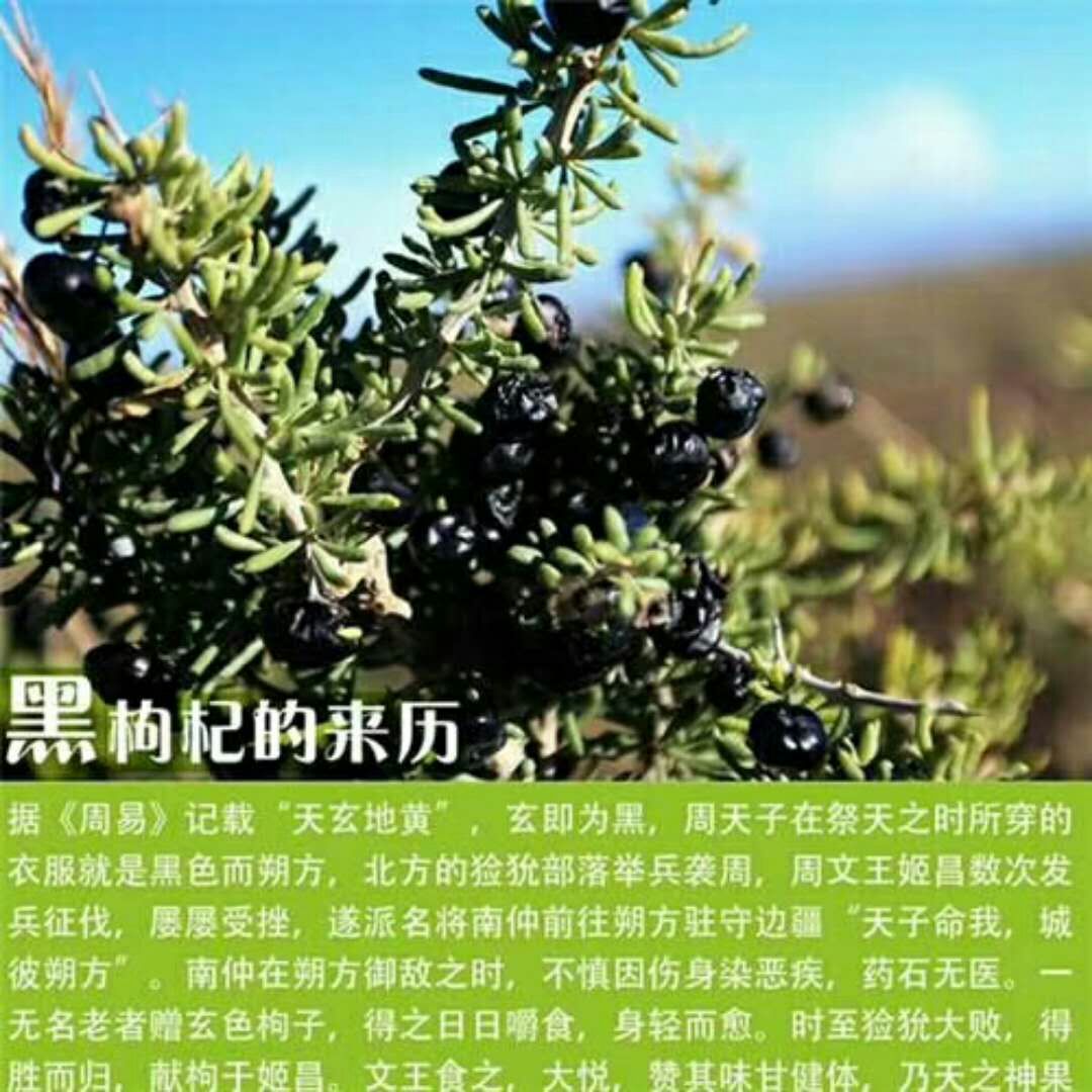 秋葵花泡水喝的功效_喝葵花泡水功效秋天能喝吗_喝葵花泡水功效秋天吃好吗