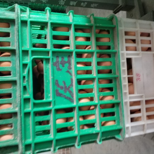 新乡县鸡粪