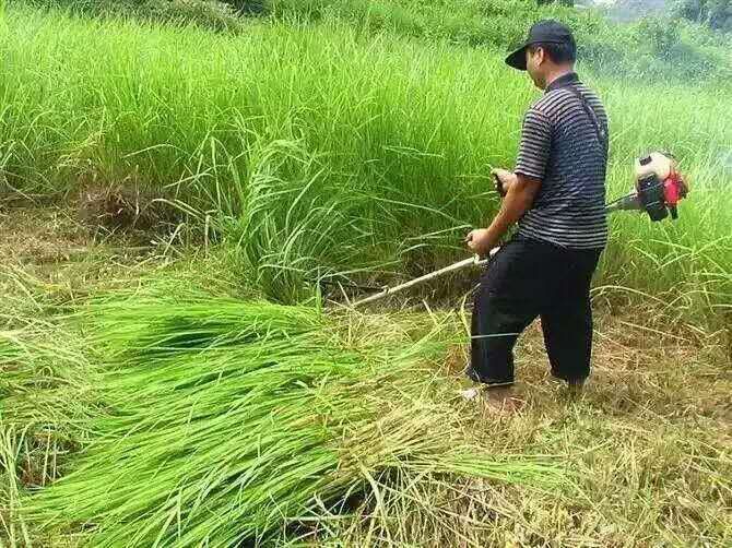 永康市割草机