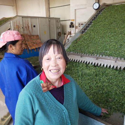 云南绿茶  云南高山生态茶，本产品产产云南普洱市，高山云雾茶，请茶友下单