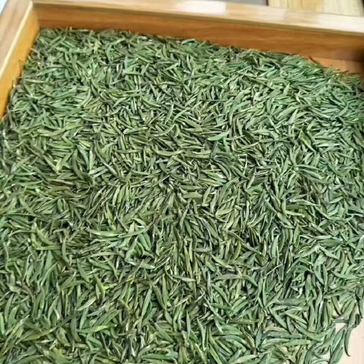 湄潭县贵州湄潭翠芽 礼盒装 一级 