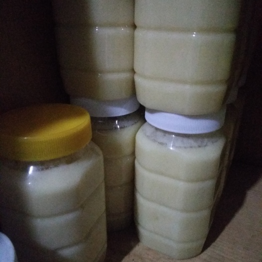 伊春椴树蜜 塑料瓶装  2年 