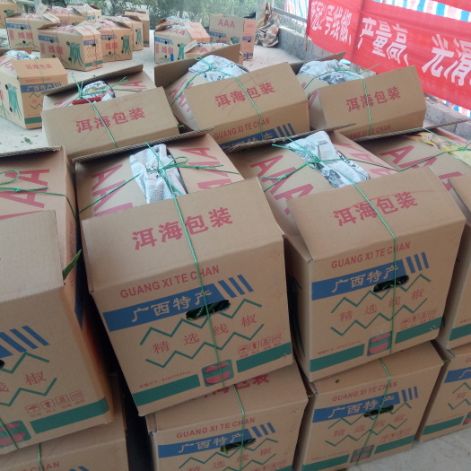 钦州各种精品辣椒已陆续上市……