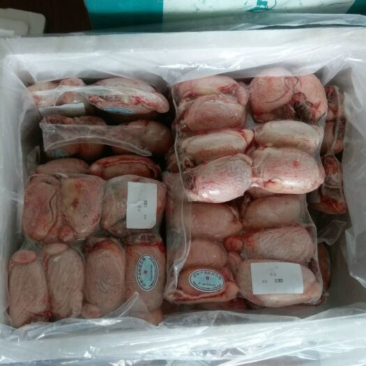 乌鲁木齐羊宝 