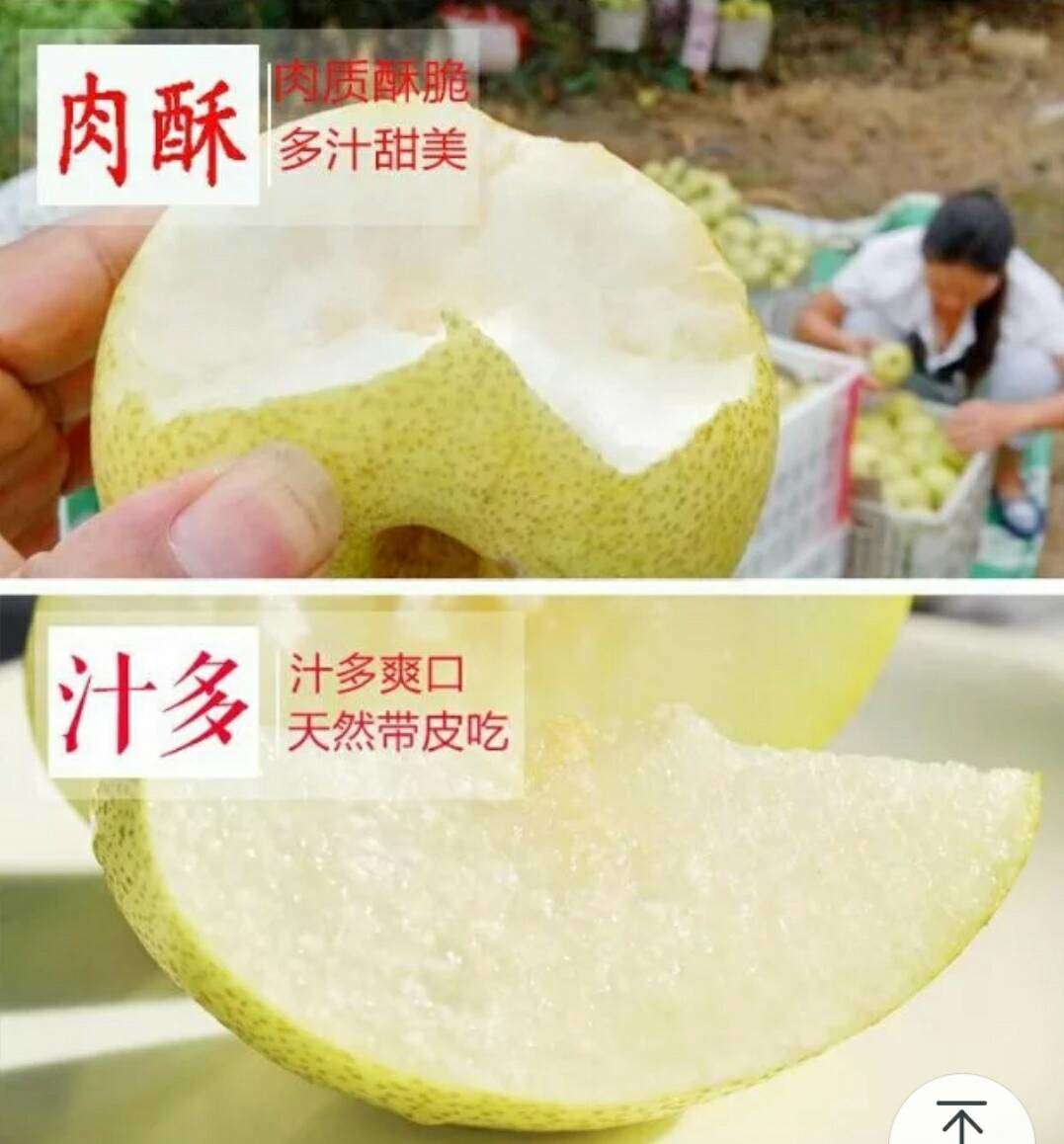 酥梨 400-450g 55mm以上