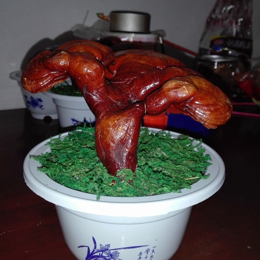 大名县观赏灵芝