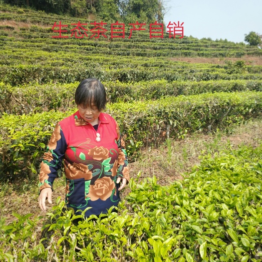 西宁云南绿茶 特级 散装