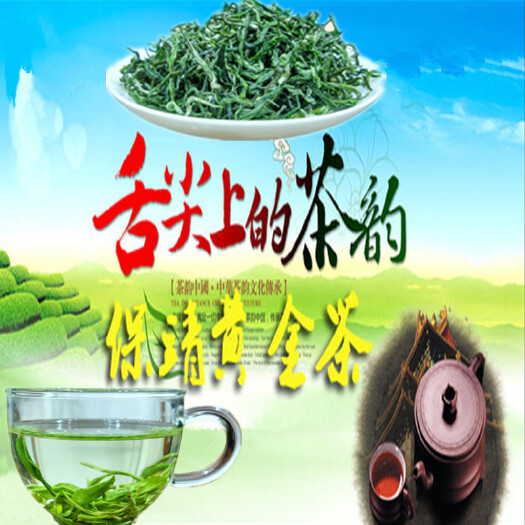 头采老树茶 湘西保靖黄金茶原产地  2024年新茶