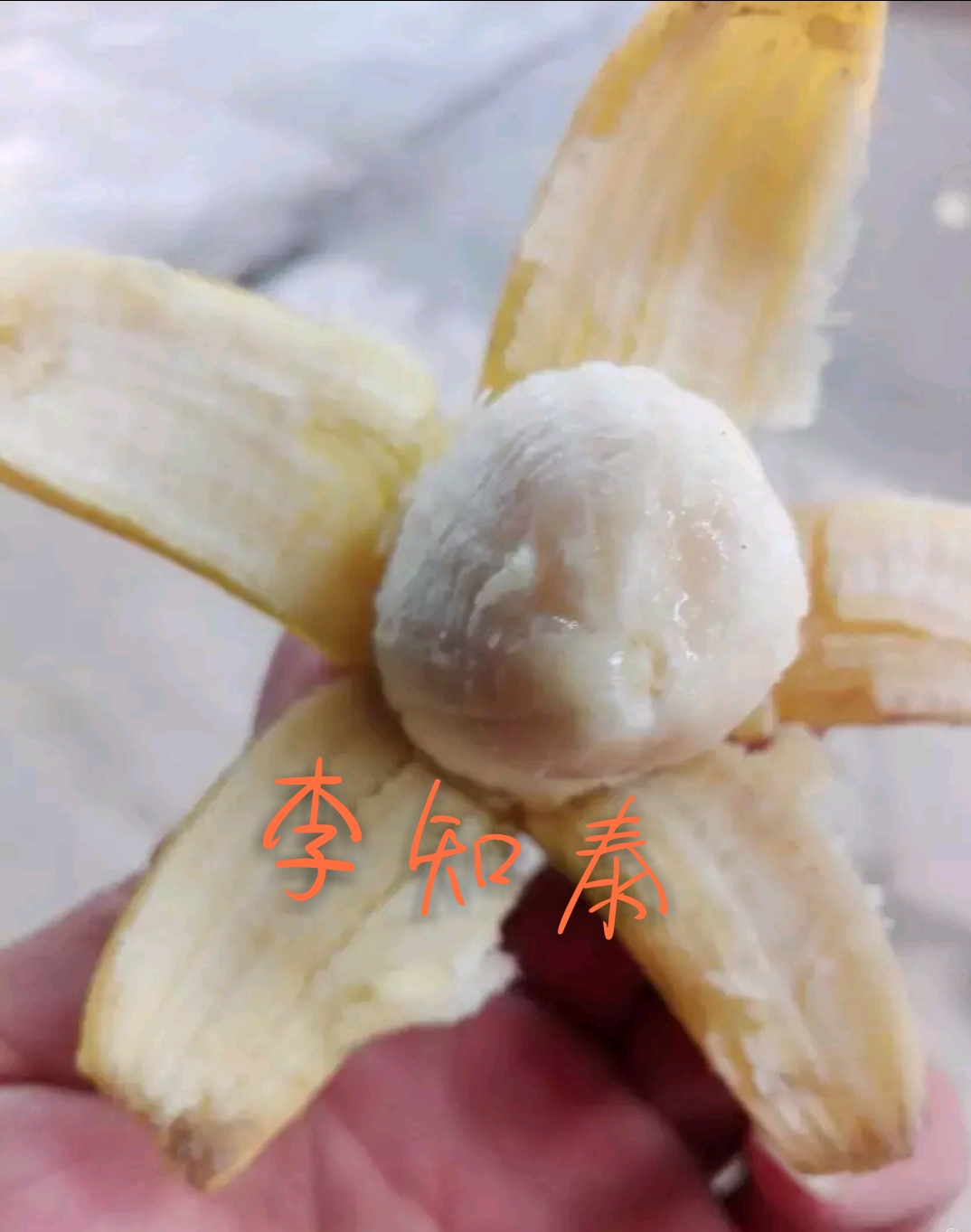 皇帝蕉 七成熟 40斤以下 