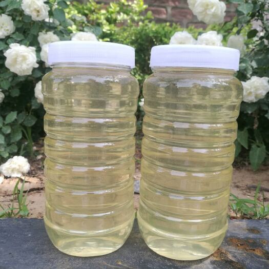 邢台槐花蜜 塑料瓶装  2年
