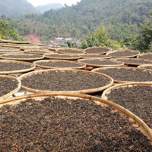 勐腊县云南绿茶 一级 散装 