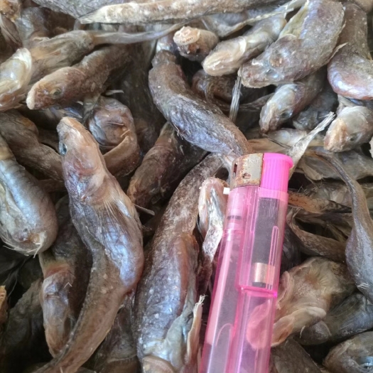滨州鱼干类