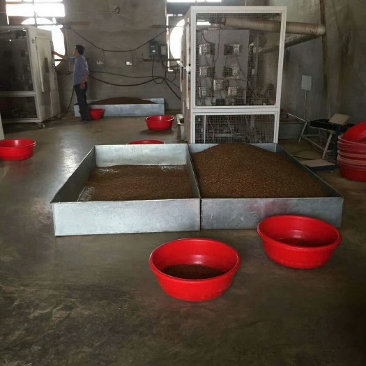无棣县黄粉虫 黄粉冲干
