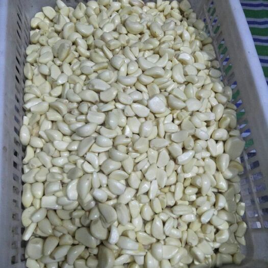 颍上县蒜米 混级统货 非独头