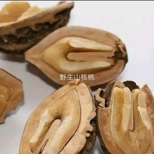 抚松县核桃仁 12-18个月 