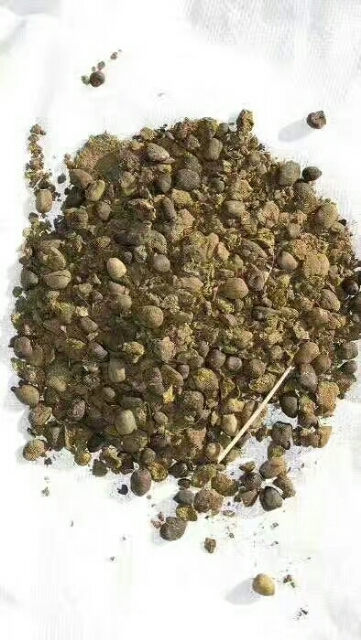 锡林浩特禽畜粪