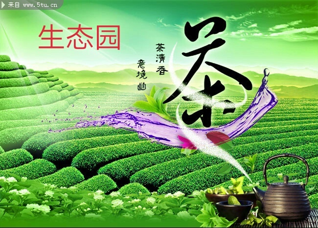 西宁香茗 礼盒装 一级 