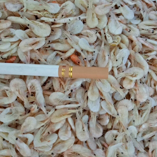 滨州虾皮