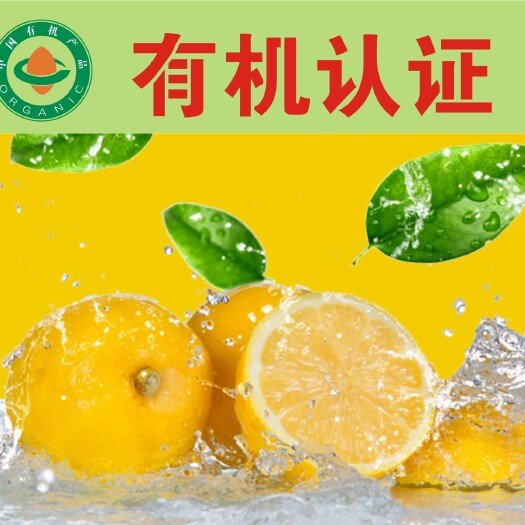 高县尤力克柠檬 2.7 - 3.2两 