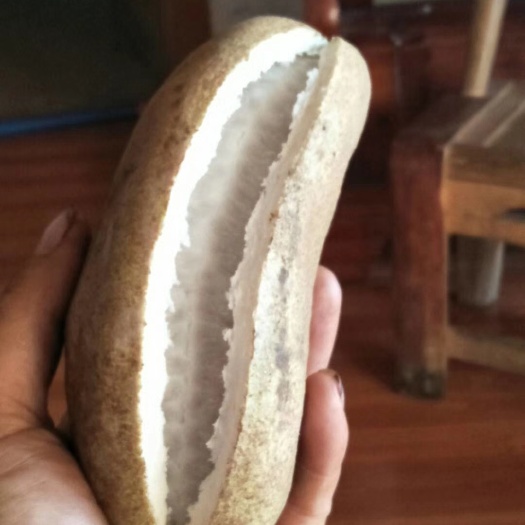 古丈县紫色一号八月瓜 种植 100-120g 