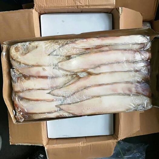 天津鳎目鱼