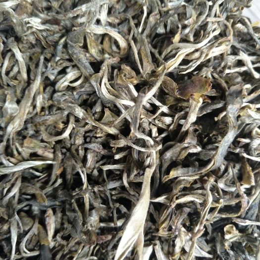芒市云南绿茶 散装 三级