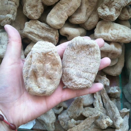 昆明小草坝天麻 