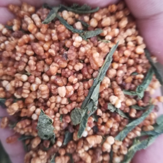 玄米茶  特级 袋装 批发散装玄米茶500克包邮