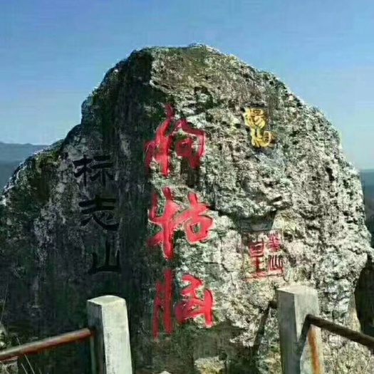 遂川县狗牯脑茶 礼盒装 特级 