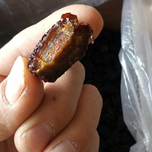 紫晶枣乌枣黑枣个头不大味道鲜美欢迎大家 品尝不上火的枣