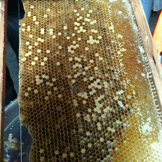 德庆县土蜂蜜 塑料瓶装 95%以上 2年