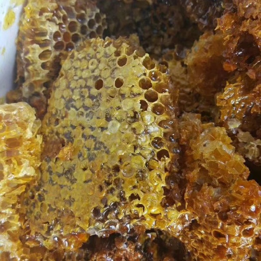 思茅野生蜂蜜 玻璃瓶装 