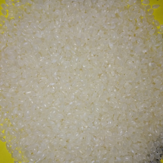 德惠市东北大米 一等品 晚稻 粳米