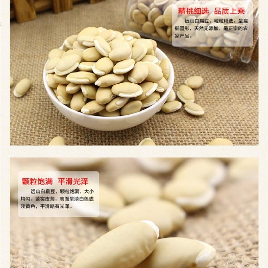 海军白 药扁豆