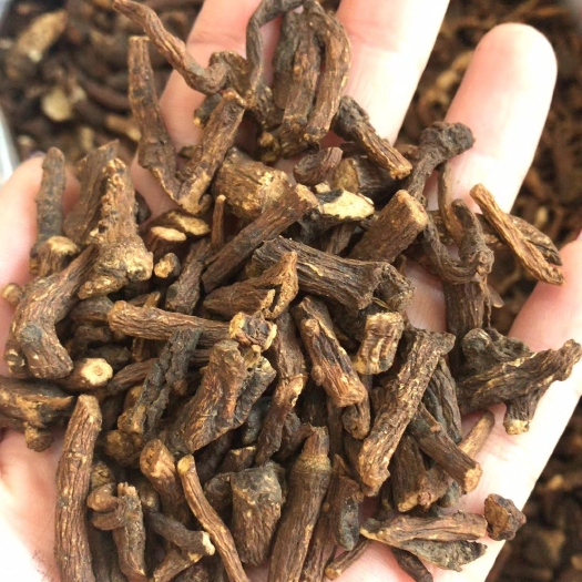 抚松县蒲公英茶 罐装 一级