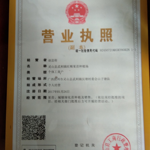 灵山县巴西甜樱桃苗