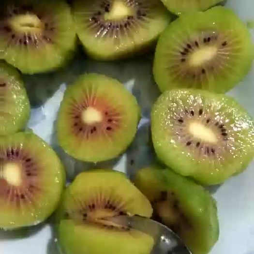横峰县红心猕猴桃苗 嫁接苗 