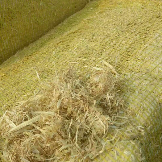 稻草  合作社直销短揉丝，切段揉，长，手捆把草