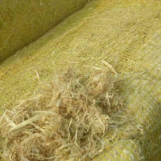 天津稻草  合作社直销短揉丝，切段揉，长，手捆把草