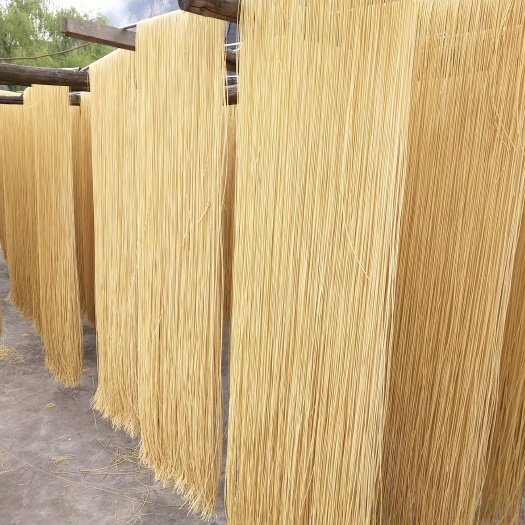 镇雄县 挂面