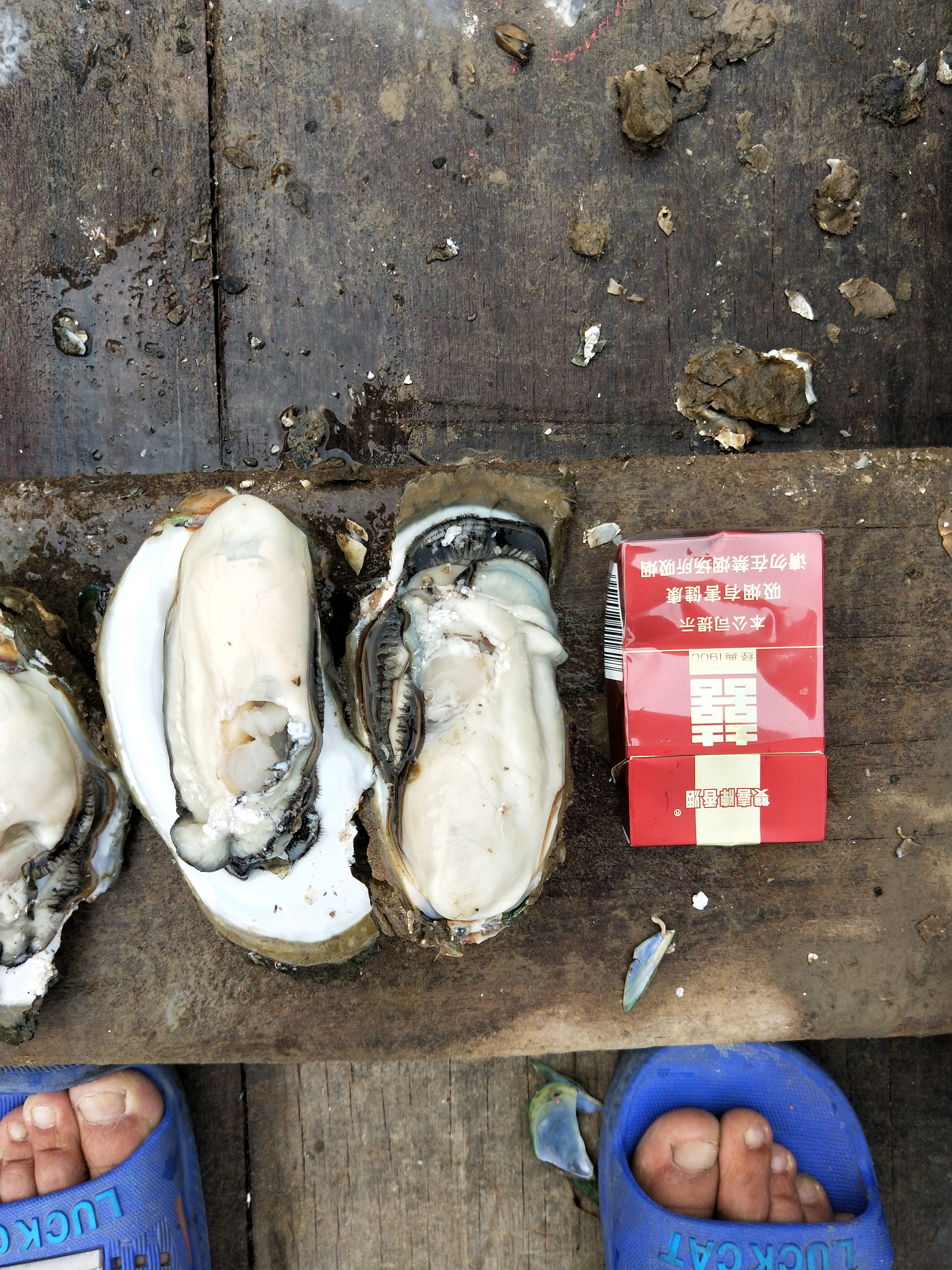 珠海生蚝 新鲜生蚝肉，秋天的大补，，女人的**院