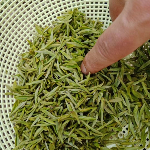 遂川县狗牯脑茶 袋装 一级