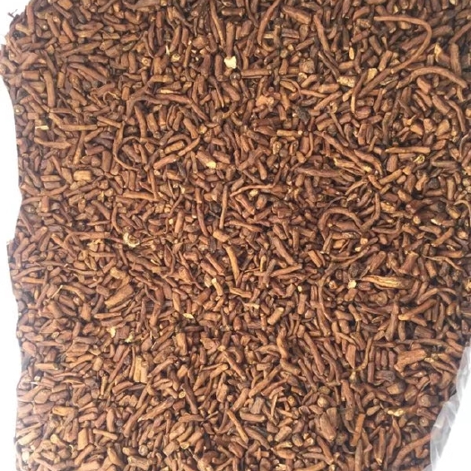 丰县蒲公英茶 批发散装蒲公英根茶蒲公英根红茶一斤包邮代加工