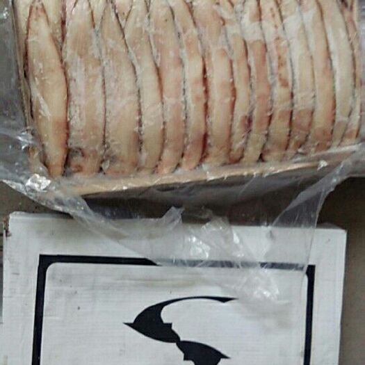 天津鳎目鱼