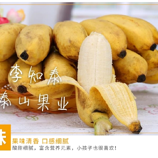 南宁皇帝蕉 七成熟 40斤以下