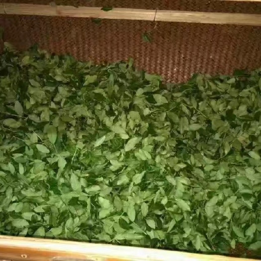 安溪县铁观音 散装 一级 