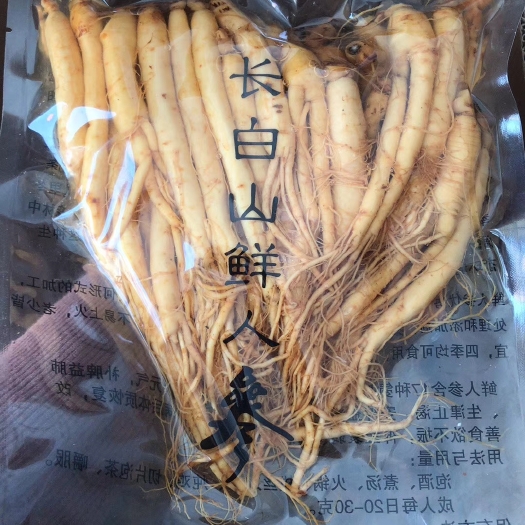 抚松县保鲜参 鲜参
